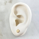 Topos Abeja 0.55gr / 6.2mm Oro Amarillo 18K ©