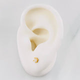 Topos Cuatro Garras 0.6g / 3.1mm Oro Amarillo 18K