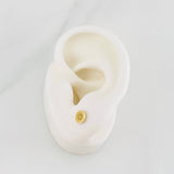 Topos Circulo Tupido 0.9g / 5.9mm Oro Amarillo 18K
