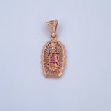 Dije Virgen Guadalupe 3.1gr / 3cm / Circones Fucsias Azules Blancos  Oro Rosa 18K $