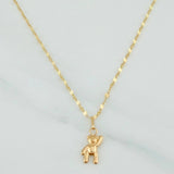 Set Cadena Flor Espejo + Dije Oso / 1.2gr / 45 cm Oro Amarillo 18K