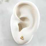Topos Trío 0.55gr / Oro Amarillo 18K