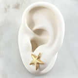 Topos Estrellla de Mar 2.15gr / 1.4cm / Oro Amarillo 18K ©