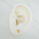 Topos Hoja 0.75gr / 6.4mm Oro Amarillo 18K &