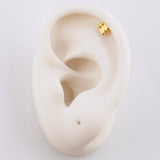 Piercing Fantasma 0.55 g / 1 cm Oro Amarillo 18K