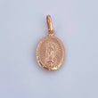 Dije Virgen Guadalupe 0.7gr / 2cm / Oro Rosa 18K &