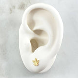 Topos Hoja 0.75gr / 7.5mm Oro Amarillo 18K
