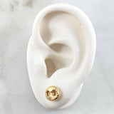 Topos GC 0.9gr / Oro Amarillo 18K