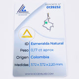 Dije Mapa Colombia Esmeralda 17pts 1.7gr / 3cm / Oro Amarillo 18K ©