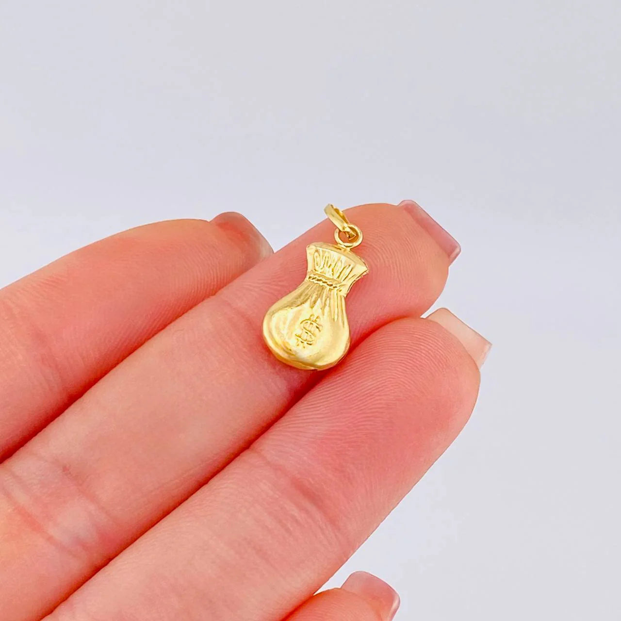Dije Bolsa De Dinero 0.5 g / 2 cm Oro Amarillo 18K