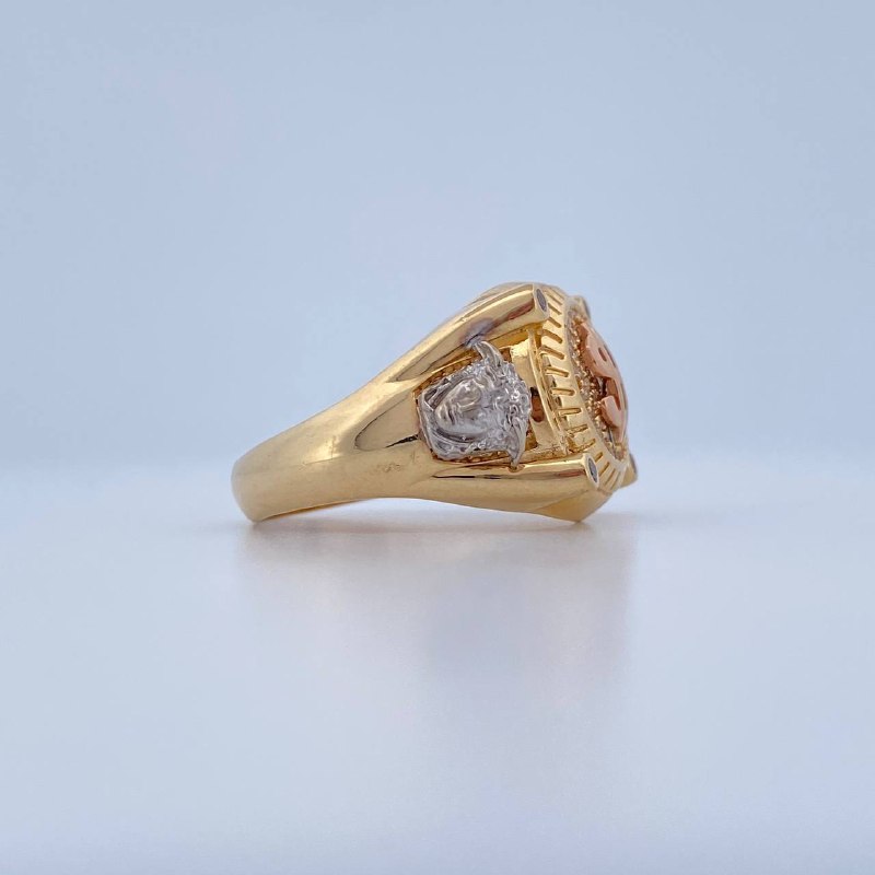 Anillo Signo Peso 10.65gr / T9 1/4 / Tres Oros 18K &