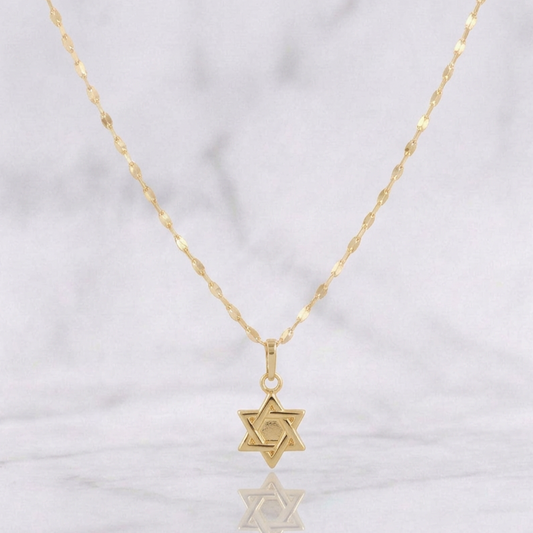 Set Cadena Flor Espejo + Dije Estrella de David / 1.15g / 45cm Oro Amarillo 18K