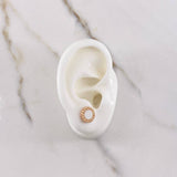 Topos BV 2.8gr / Ceramica Blanca Oro Rosa &