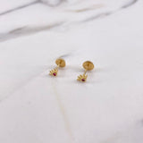 Topos Ojo Turco 0.55gr / Circon Fucsia Oro Amarillo &