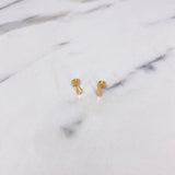 Topos Alas 0.7gr / Circon Blanco Oro Amarillo &