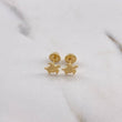 Topos Tortuga 0.5gr / Oro Amarillo $