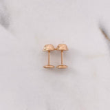 Topos GC 0.45gr / Diamantados Oro Rosa $