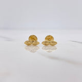 Topos Ojos Santa Lucia 0.5gr / Oro Amarillo $