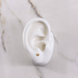 Topos Bola 0.5gr / 3mm Diamantada Oro Amarillo &