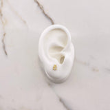 Topos Oso 0.8gr / Circones Blancos Oro Amarillo $