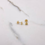 Topos Oso 0.8gr / Circones Blancos Oro Amarillo $