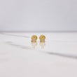 Topos Oso 0.8gr / Circones Blancos Oro Amarillo $