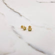 Topos Corona Real 1.3gr / Circones Blancos Verdes Oro Amarillo $