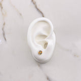 Topos Circulo 0.9gr / Circones Colores Oro Amarillo $