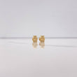 Topos Hipopotamo 0.65gr / Lisos Oro Amarillo &