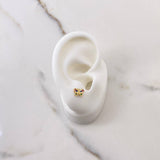 Topos Mariposa 1gr / Circones Colores Oro Amarillo $