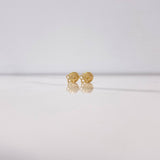Topos Huella Silueta 0.45gr / Oro Amarillo $