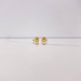 Topos Linea 0.6gr / Circones Blancos Oro Amarillo $