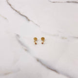 Topos Nota Musical 0.6gr / Circon Fucsia Oro Amarillo $