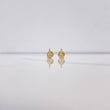 Topos Torre Eiffel 0.6gr / Circones Blancos Oro Amarillo $