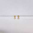 Topos Silueta Corazon 0.6gr / Circones Blancos Oro Amarillo $