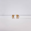 Topos Serpiente 0.8gr / Circones Colores Oro Amarillo $