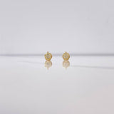 Topos Tortuga 0.65gr / Circones Blancos Oro Amarillo $