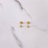 Topos Tortuga 0.65gr / Circones Blancos Oro Amarillo $