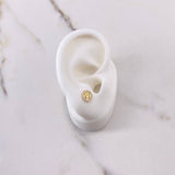 Topos Circulo Arbol 0.8gr / Circones Blancos Oro Amarillo $