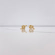 Topos Serpiente 0.8gr / Circones Blancos Oro Amarillo $