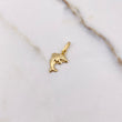 Dije Delfin 0.45gr / 1.8cm / Liso Oro Amarillo &