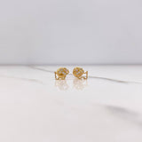 Topos Perro 0.75gr / Circones Blancos Rosados Oro Amarillo $