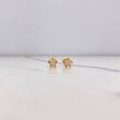 Topos Tortuga 0.75gr / Circon Blanco Oro Amarillo $