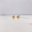 Topos Gatita 0.55gr / Lisos Oro Amarillo $