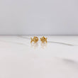 Topos Perro 0.85gr / Circon Blanco Oro Amarillo $