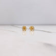 Topos Herradura 0.8gr / Circones Blancos Oro Amarillo $