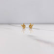 Topos Conejo 0.65gr / Lisos Oro Amarillo $
