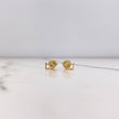 Topos Perro 0.7gr / Circones Blancos Verdes Oro Amarillo $