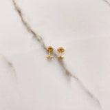 Topos Estrella 0.6gr / Lisa Oro Amarillo $
