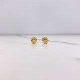 Topos Flor 0.65gr / Circon Blanco Oro Amarillo $
